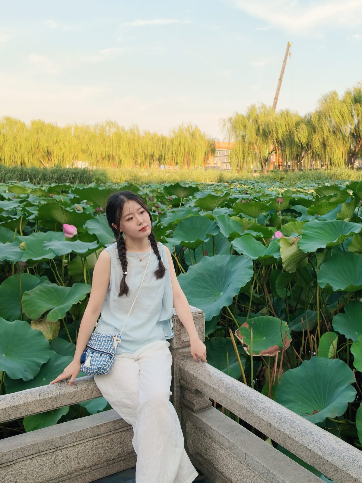 大明湖畔的xy